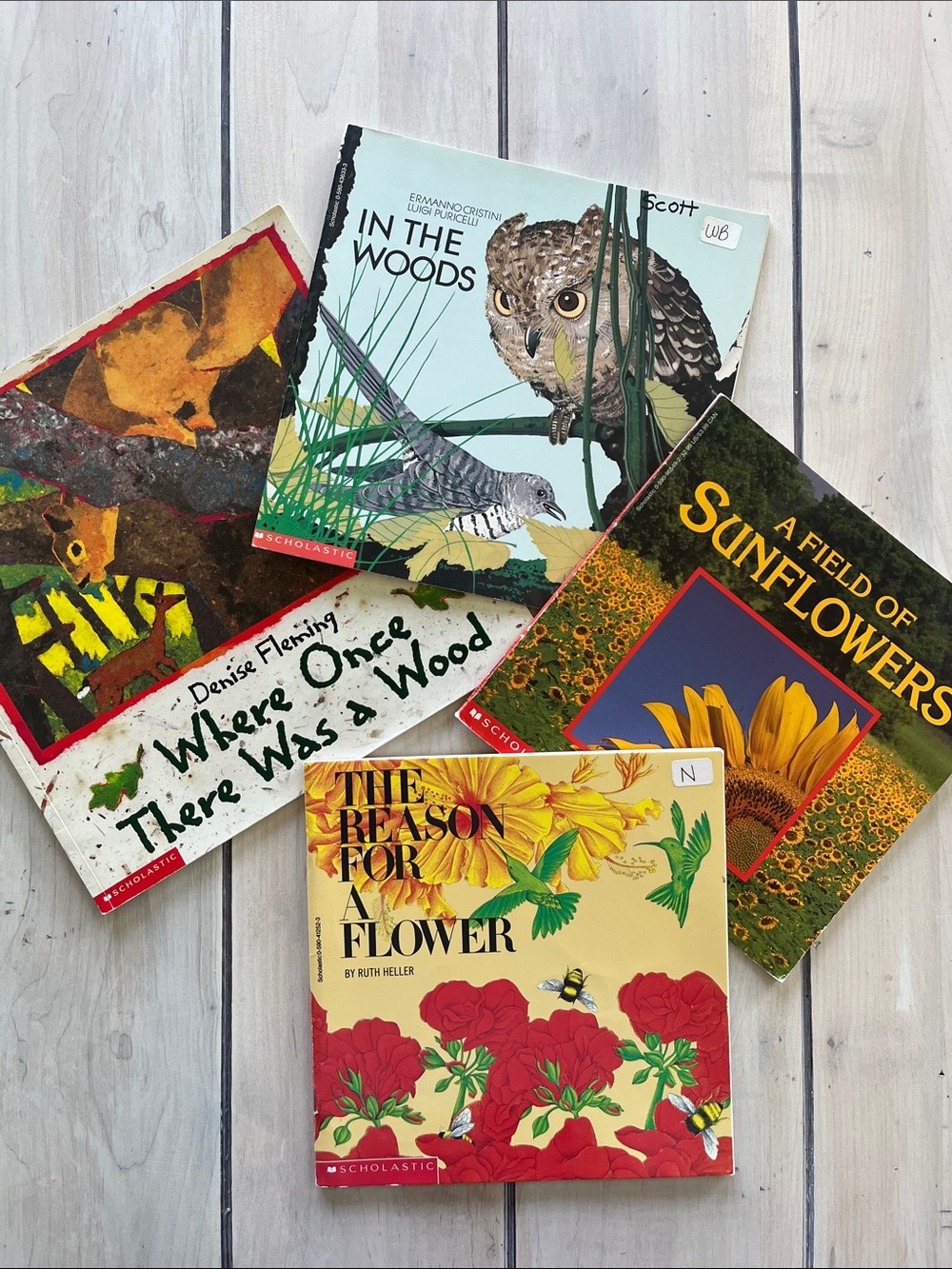 Children’s Book Bundle on Nature/Woods/Flowers